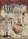 Wonders of the Circus thumbnail