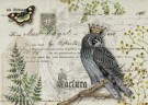 Owl Botanicals thumbnail