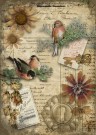 Autumn Birds thumbnail