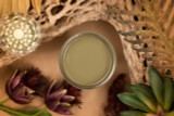 Cactus Silk Paint