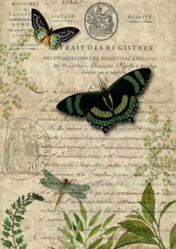 Butterfly Botanical